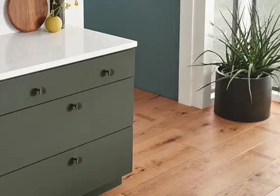 A modern room featuring natural wood plank flooring, a dark green cabinet with a white countertop, and a potted plant in the background.