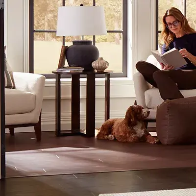 Woman reading in an armchair with a dog lying on dark wood flooring.