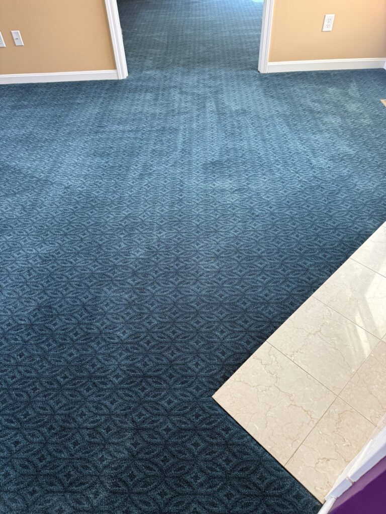 AT Enlightened Pacific Oasis 3 | Carpet Mart