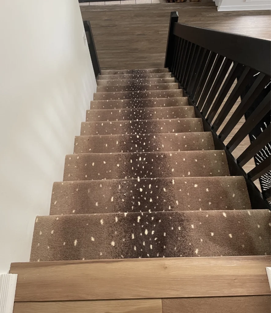 Savannah Scenes Taupe Antelope | Carpet Mart