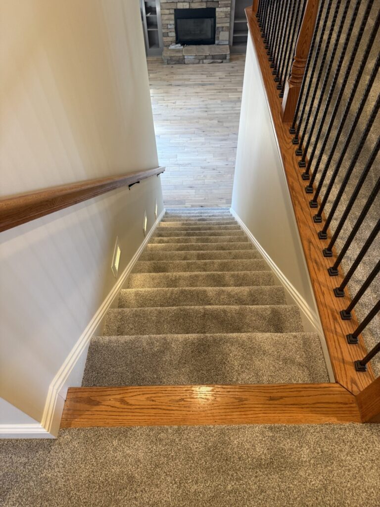 Shaw Elevated III Perfection | Carpet Mart