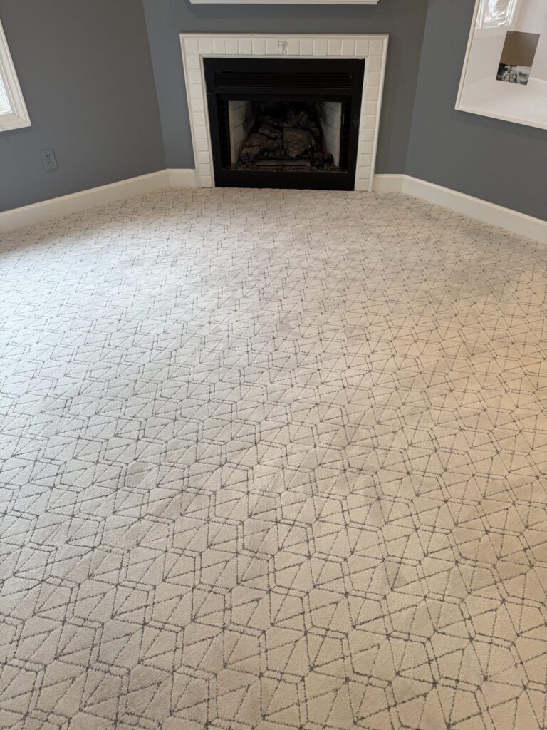 Shaw Pet Perfect Point of View Serene Blue 3 | Carpet Mart