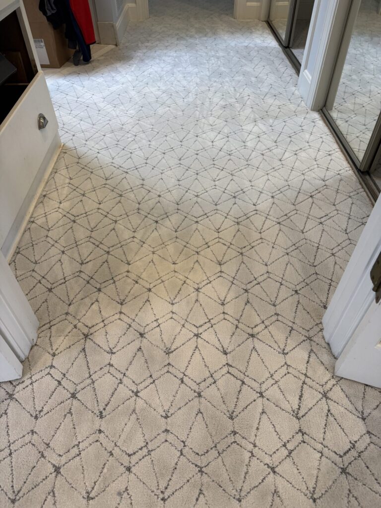 Shaw Pet Perfect Point of View Serene Blue 4 | Carpet Mart