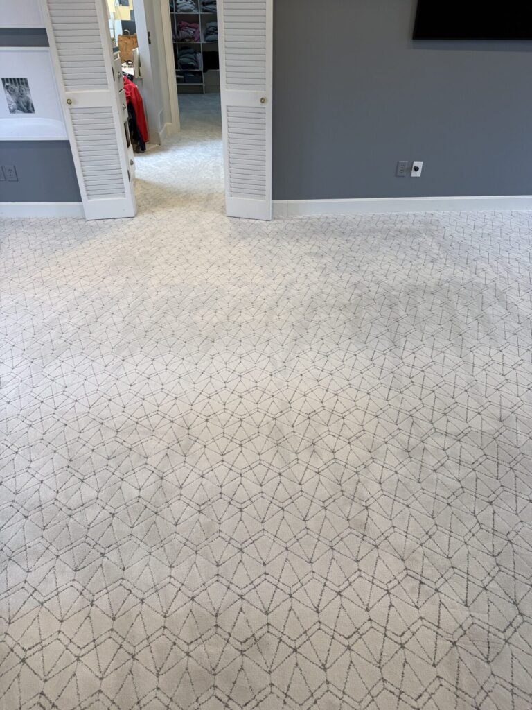 Shaw Pet Perfect Point of View Serene Blue | Carpet Mart