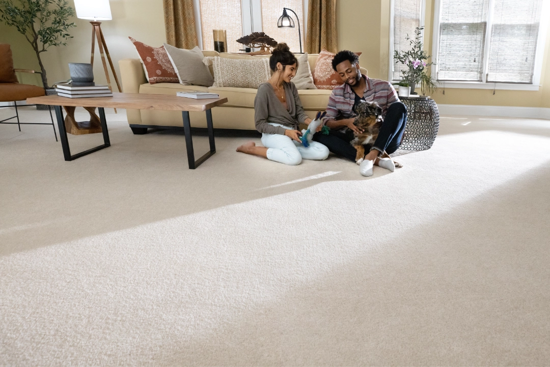 Couple playing with a dog on light beige living room carpet.